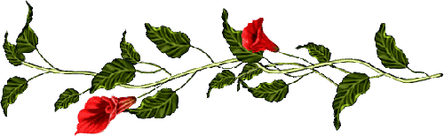 JBQkS3pitPFPwslRQ0s9_8g8-Zk